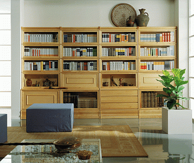 Книжный шкаф с выдвижными ящиками. Пример №17 - Bjorkkvist , фото